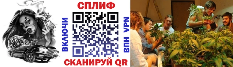 Купить Кокаин  Галлюциногенные грибы  ГАШ  Каннабис  Меф мяу мяу  Липецк