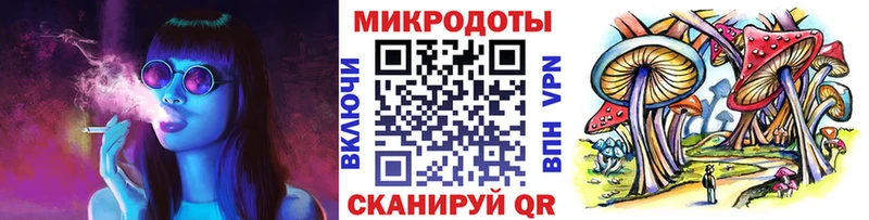 Псилоцибиновые грибы Psilocybine cubensis  Купить где  Липецк 