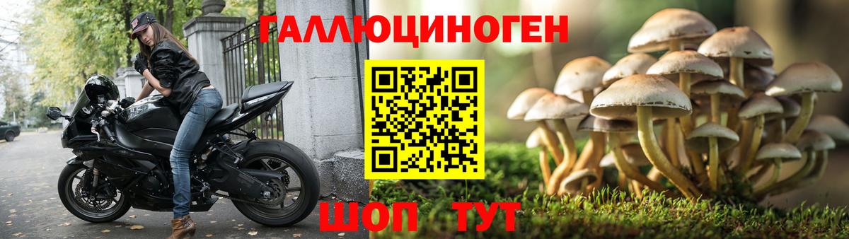 Липецк  Псилоцибиновые грибы Cubensis  Вход с VPN 