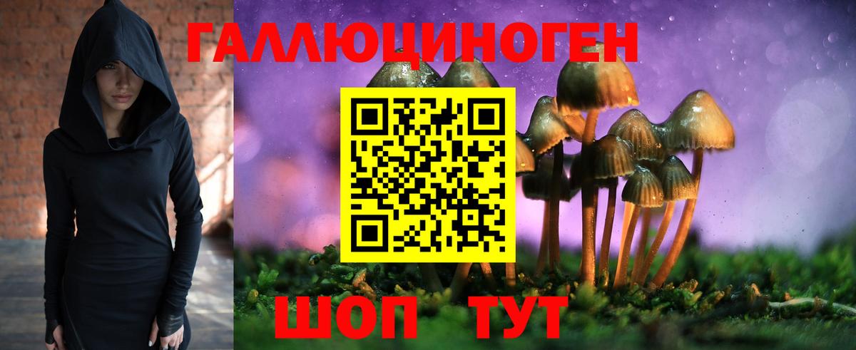 Псилоцибиновые грибы мухоморы Липецк