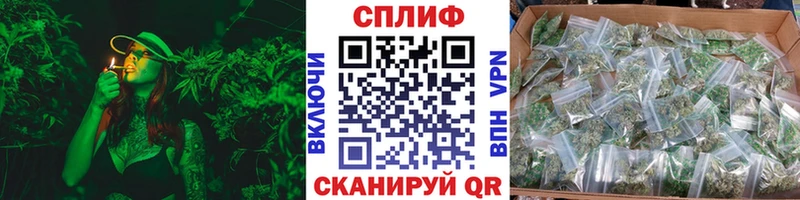 Купить где  Липецк  Шишки марихуана Amnesia 
